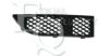BMW 51117135563 Radiator Grille